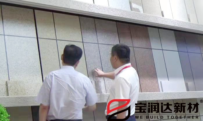 市人大常委會(huì)黨組書記劉明亮蒞臨寶潤達(dá)參觀考察