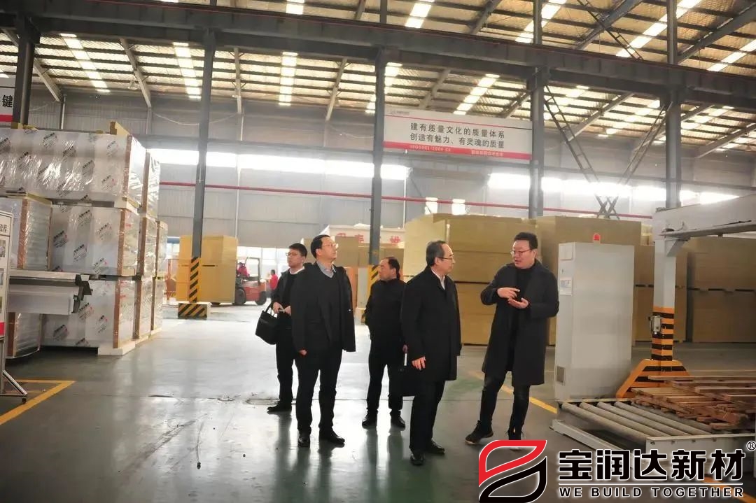 懷寧縣委領(lǐng)導(dǎo)蒞臨寶潤達參觀交流