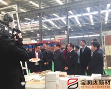 副國級領導來訪寶潤達參觀調(diào)研